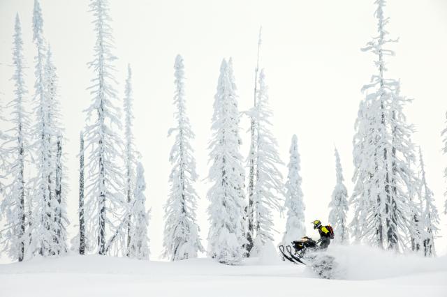 2018 Ski-Doo Summit SP 175 850 E-TEC SS in Burlington, Washington - Photo 13