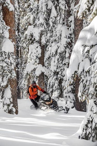 2018 Ski-Doo Renegade Backcountry 850 E-TEC in Huron, Ohio - Photo 10