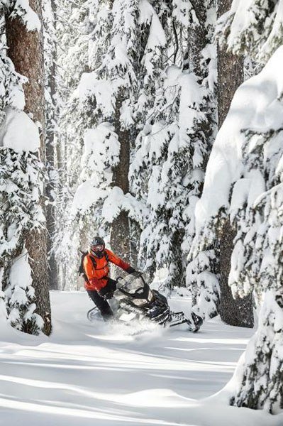 2018 Ski-Doo Renegade Backcountry 850 E-TEC in Huron, Ohio - Photo 13