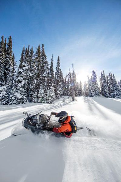 2018 Ski-Doo Renegade Backcountry 850 E-TEC in Huron, Ohio - Photo 21