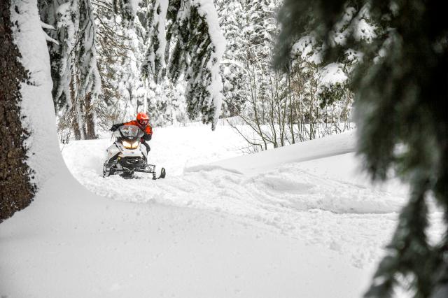 2019 Ski-Doo Renegade Adrenaline 850 E-TEC in Gorham, New Hampshire - Photo 12