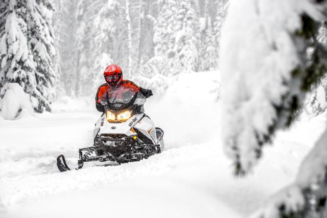 2019 Ski-Doo Renegade Adrenaline 850 E-TEC in Gorham, New Hampshire - Photo 19