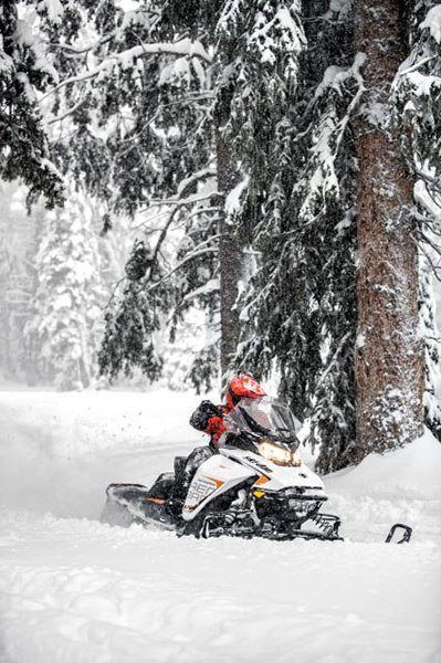 2019 Ski-Doo Renegade Adrenaline 850 E-TEC in Gorham, New Hampshire - Photo 17