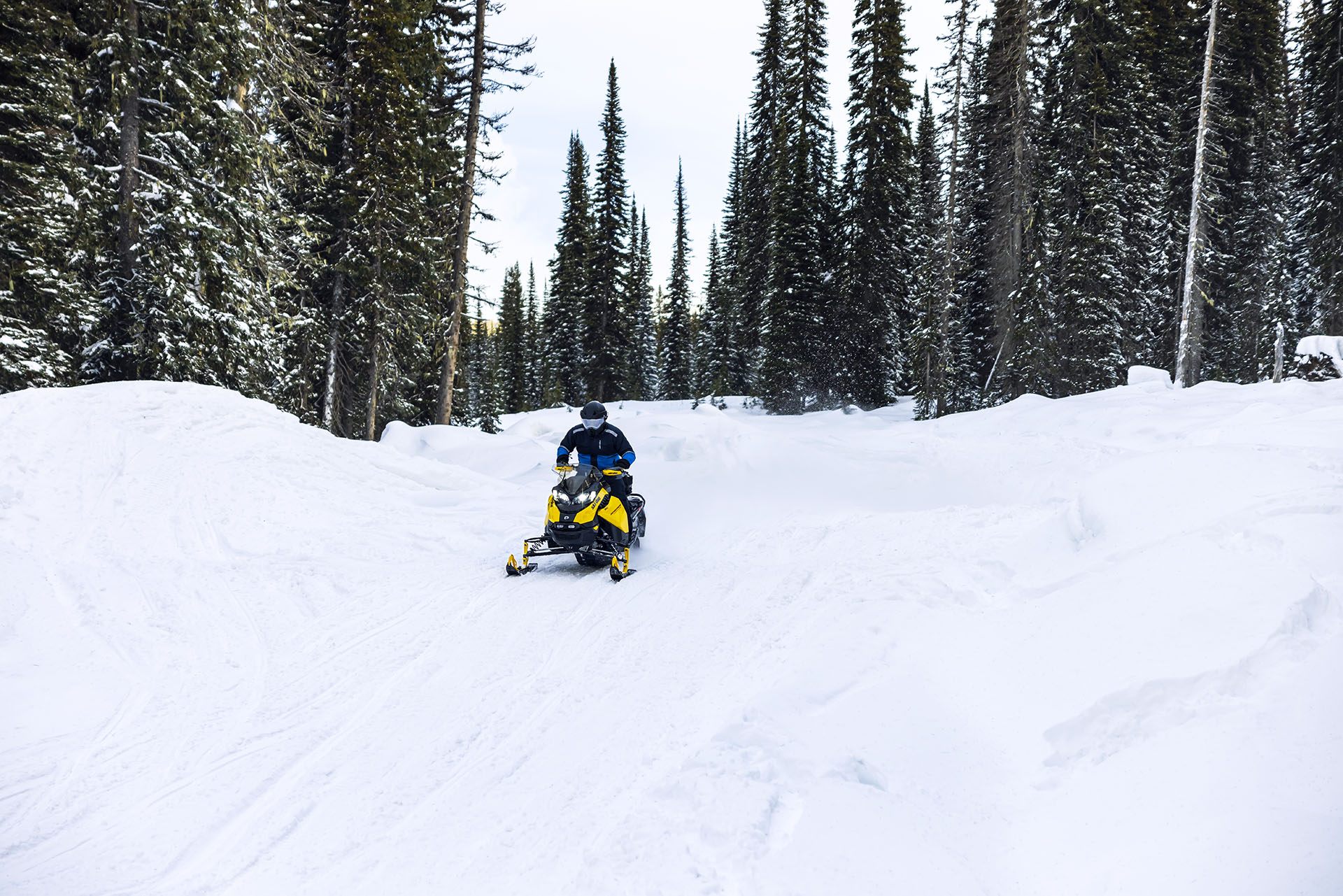 2023 Ski-Doo Renegade Adrenaline 900 ACE Turbo R ES Ripsaw 1.25 in Huron, Ohio - Photo 7