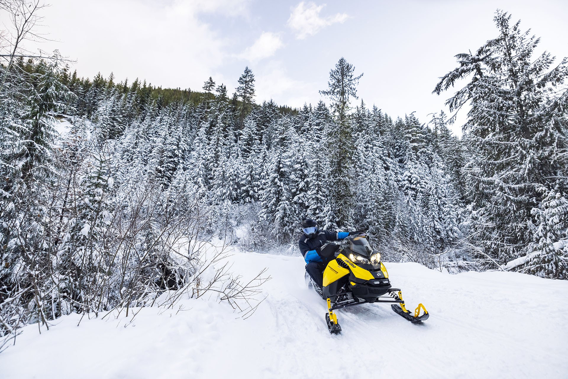 2023 Ski-Doo Renegade Adrenaline 900 ACE Turbo R ES Ripsaw 1.25 in Huron, Ohio - Photo 11