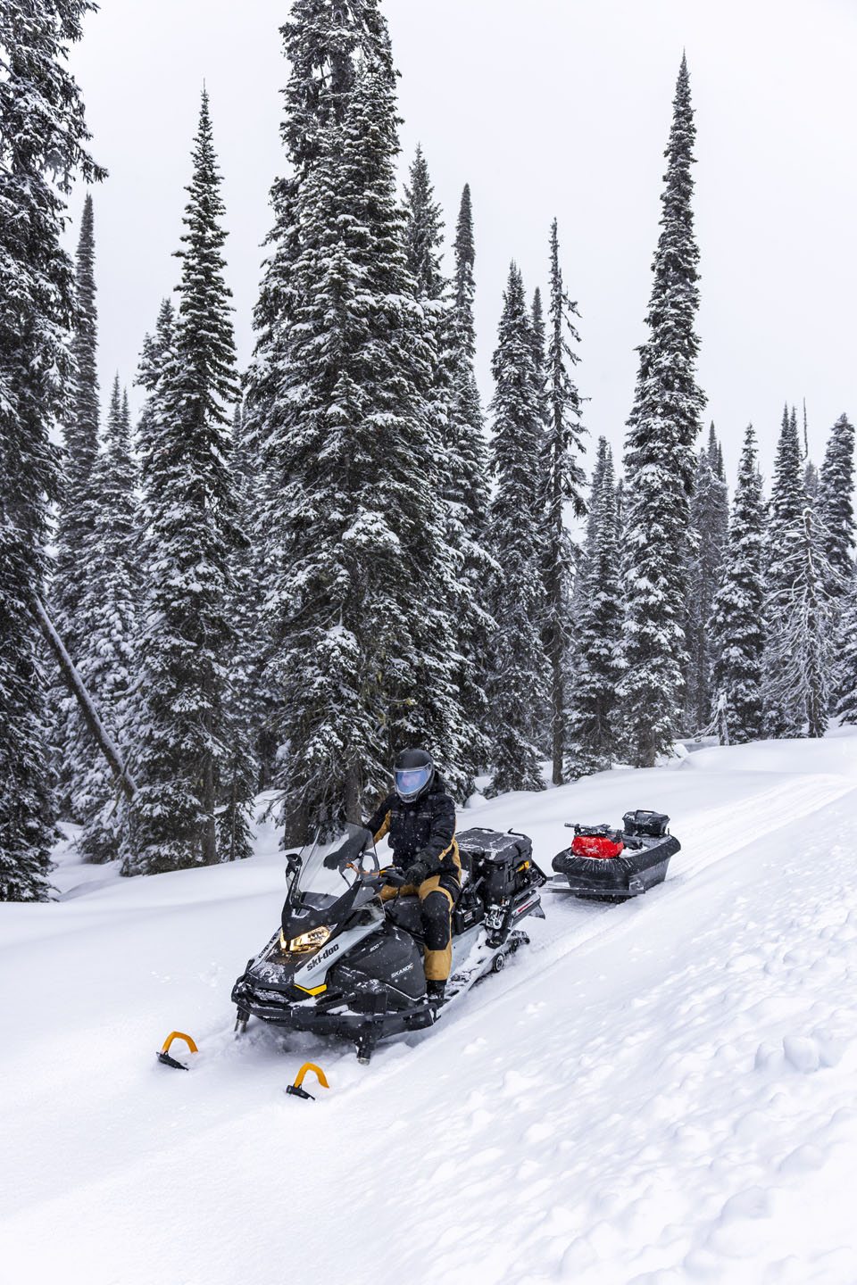 2023 Ski-Doo Skandic SE 900 ACE ES Silent Ice Cobra WT 1.5 Track 20 in. in Huron, Ohio - Photo 3