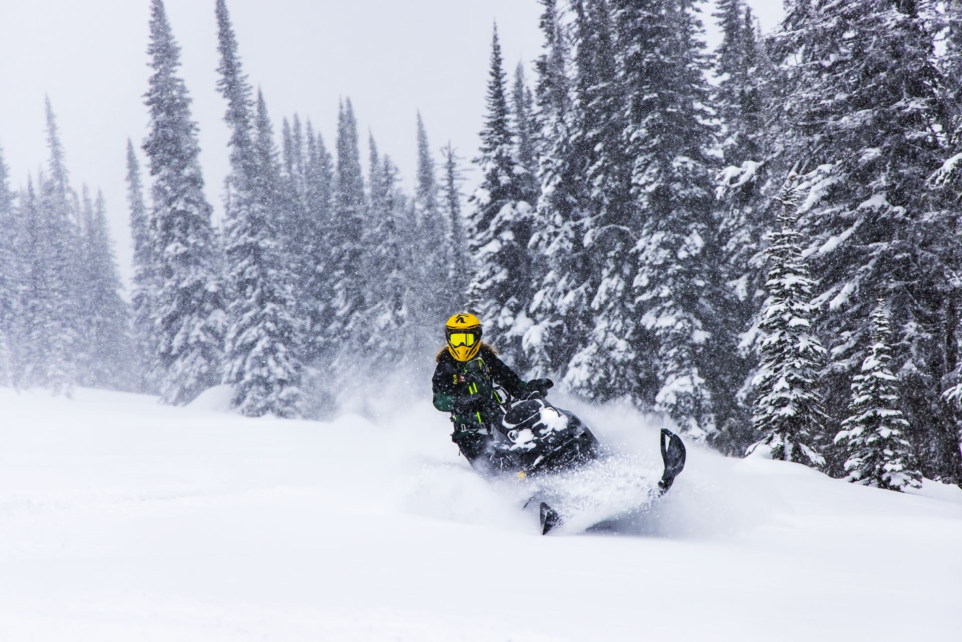 2023 Ski-Doo Summit Edge 165 850 E-TEC E.S. PowderMax X-Light 3.0 w/  FlexEdge Snowmobiles Antigo Wisconsin CHPA