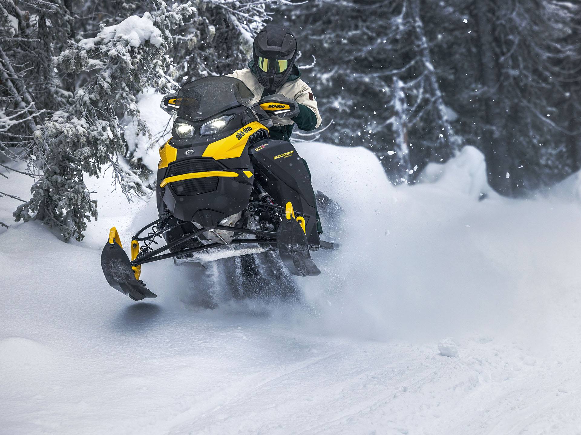 2024 Ski-Doo Backcountry Adrenaline 600R E-TEC ES Cobra 1.6 in Huron, Ohio - Photo 3