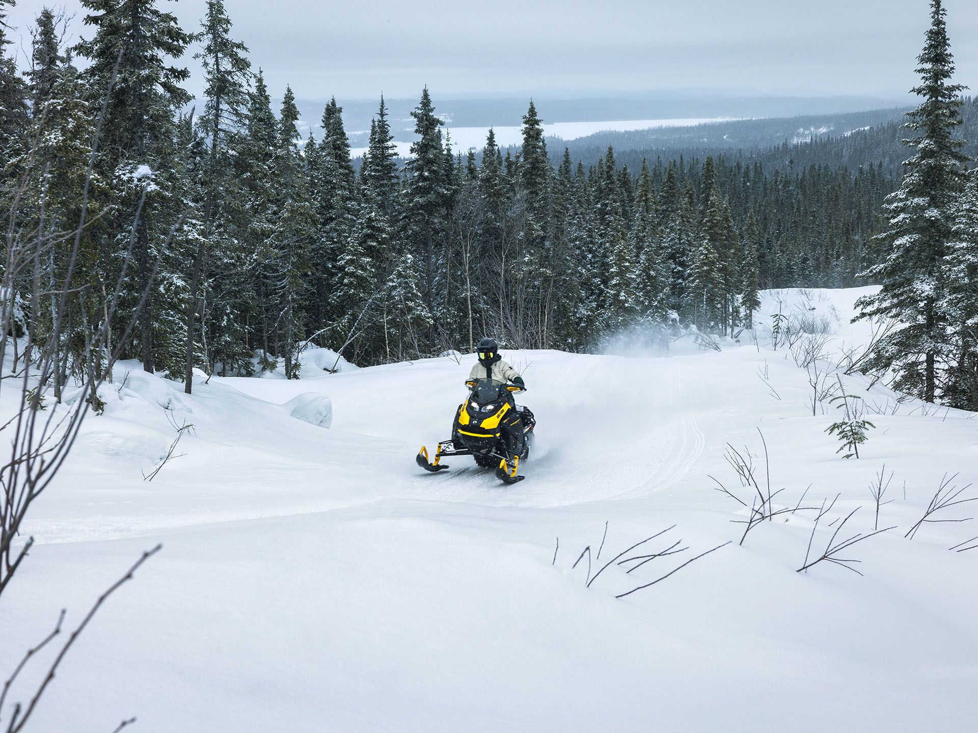 2024 Ski-Doo Backcountry Adrenaline 600R E-TEC ES Cobra 1.6 in Huron, Ohio - Photo 4