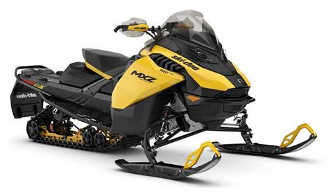 2024 Ski-Doo MXZ Adrenaline 137 850 E-TEC ES Ripsaw 1.25