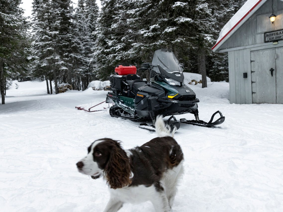 2024 Ski-Doo Skandic SE 900 ACE ES Cobra WT 1.8 Track 20 in. in Huron, Ohio - Photo 11