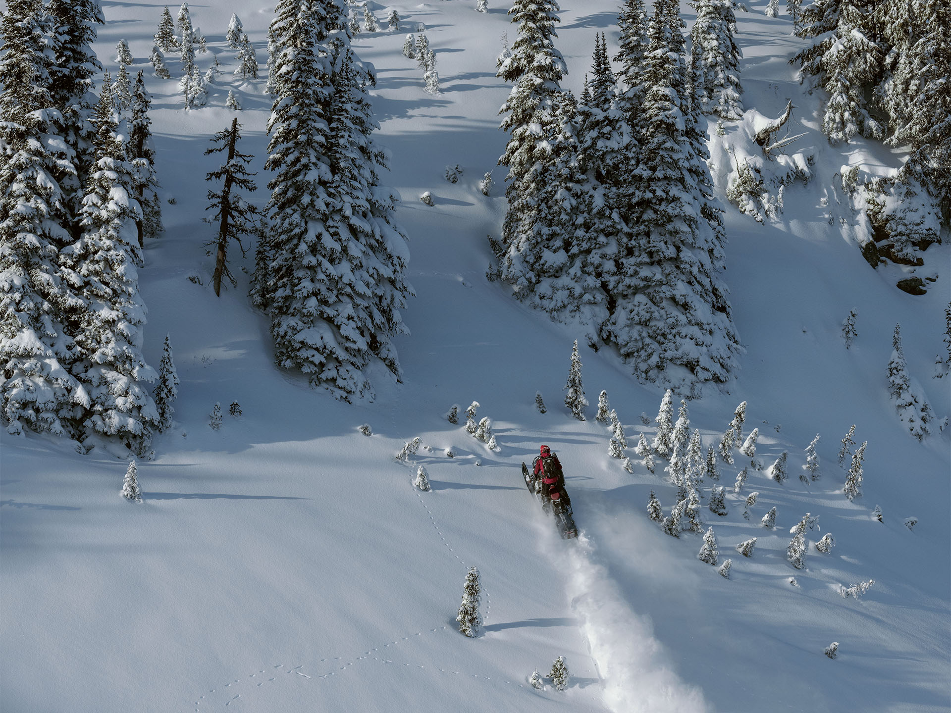 2025 Ski-Doo Summit X w/ Expert Package 154 850 E-TEC Turbo R SHOT PowderMax X-Light 3.0 w/ 10.25 in. Touchscreen HAC in Fairview, Utah - Photo 11