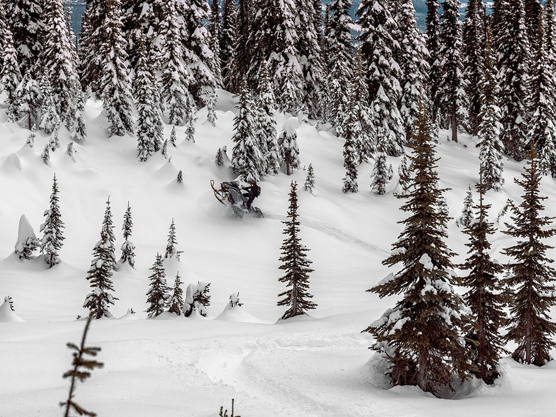 2025 Ski-Doo Backcountry X 850 E-TEC ES PowderMax 2.0 w/ 10.25 in. Touchscreen in Fairview, Utah - Photo 8