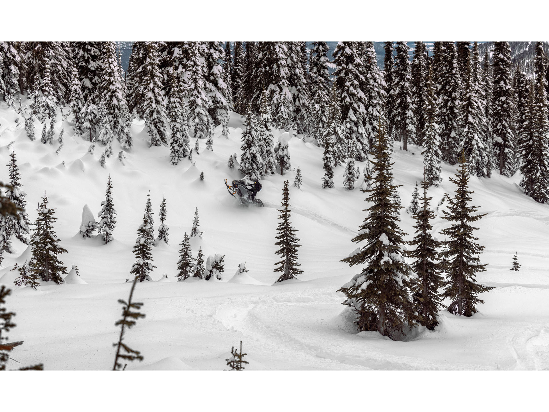 2025 Ski-Doo Backcountry X 850 E-TEC ES PowderMax 2.0 w/ 10.25 in. Touchscreen in Fairview, Utah - Photo 9
