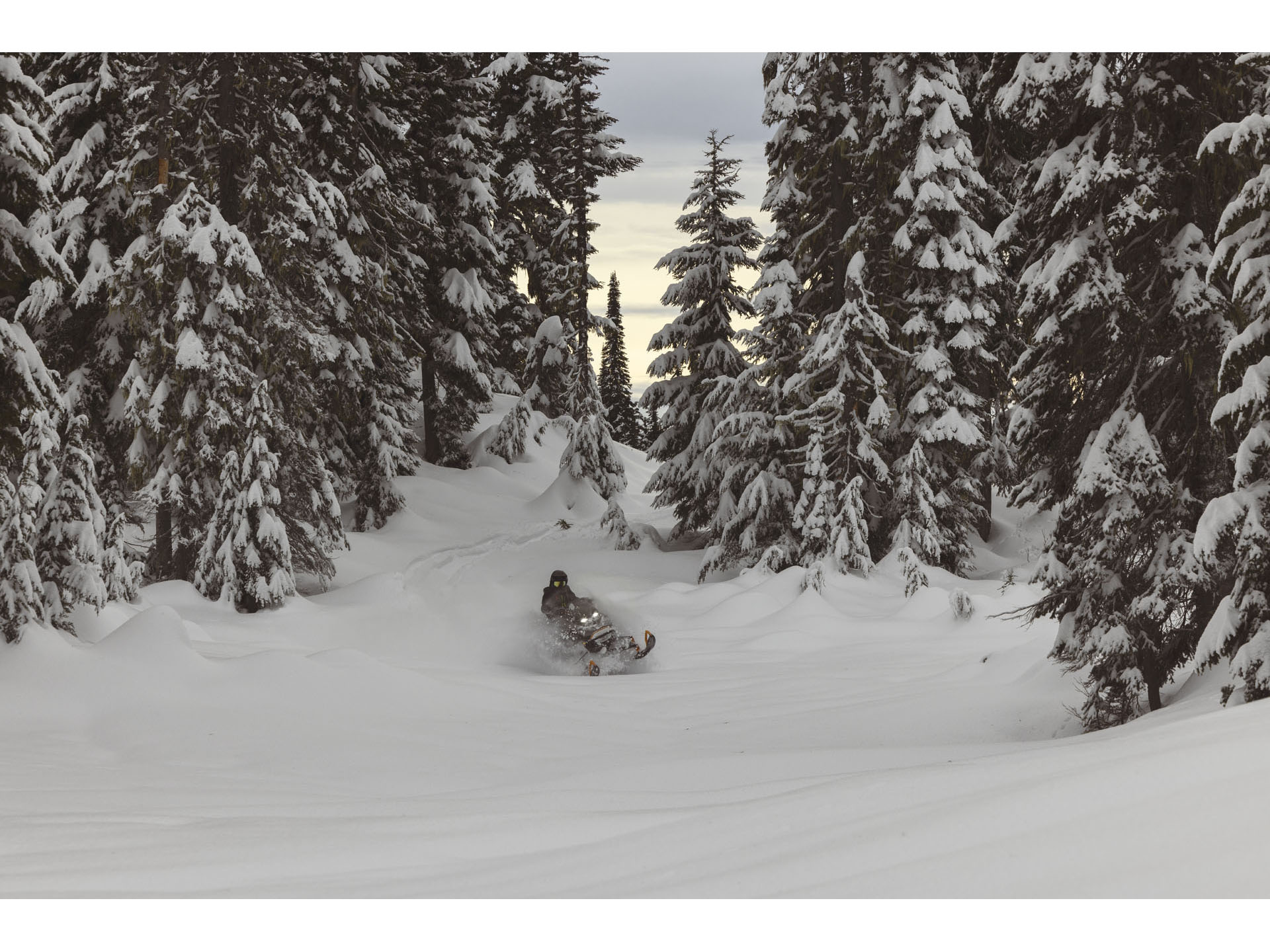 2025 Ski-Doo Backcountry X 850 E-TEC SHOT PowderMax 2.0 in Enfield, Connecticut - Photo 11