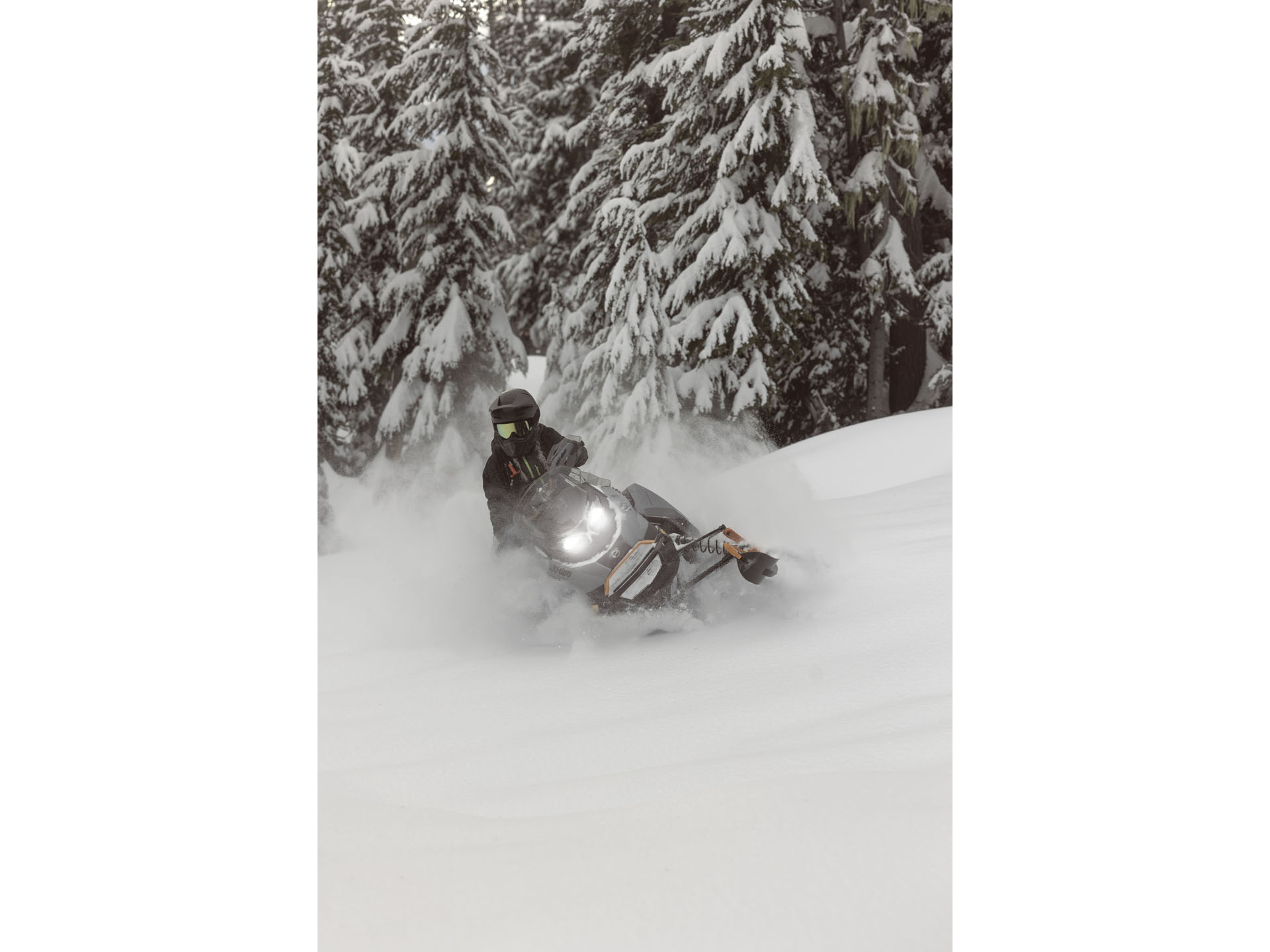 2025 Ski-Doo Backcountry X 850 E-TEC SHOT PowderMax 2.0 in Enfield, Connecticut - Photo 14