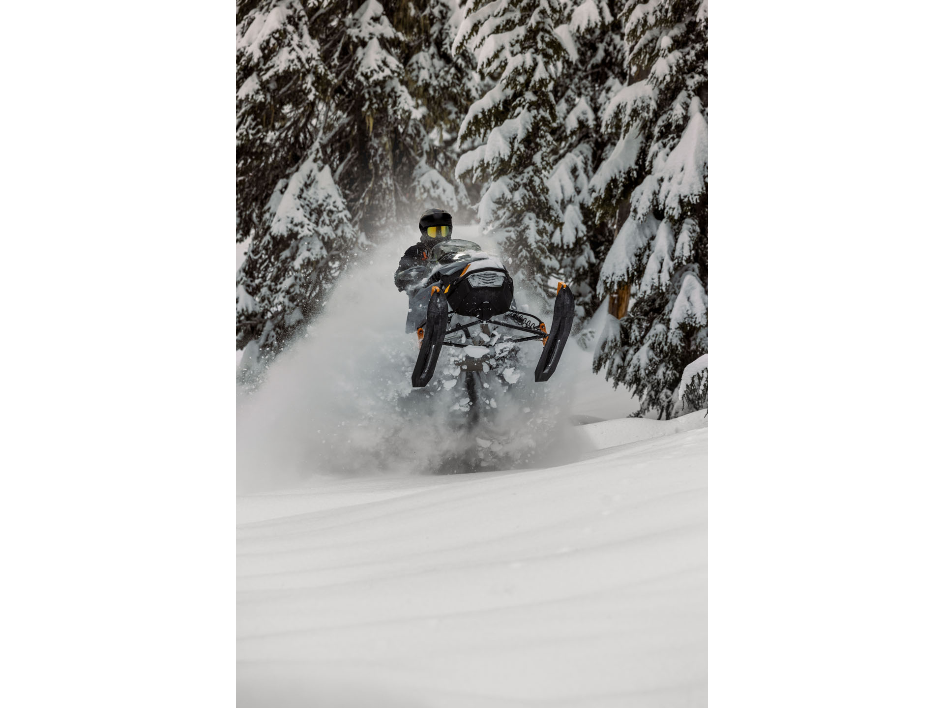 2025 Ski-Doo Backcountry X 850 E-TEC SHOT PowderMax 2.0 in Enfield, Connecticut - Photo 15
