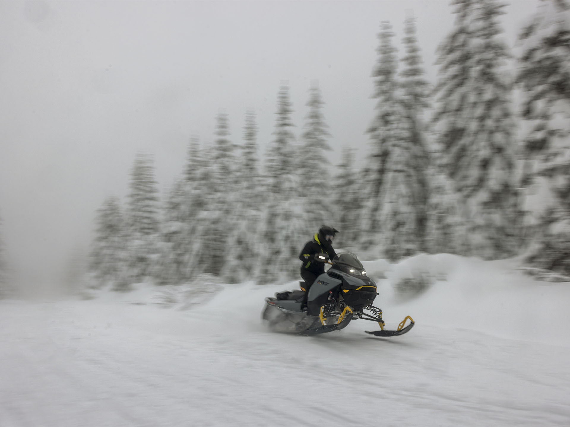 New 2025 Ski-Doo MXZ Adrenaline w/ Blizzard Package 137 850