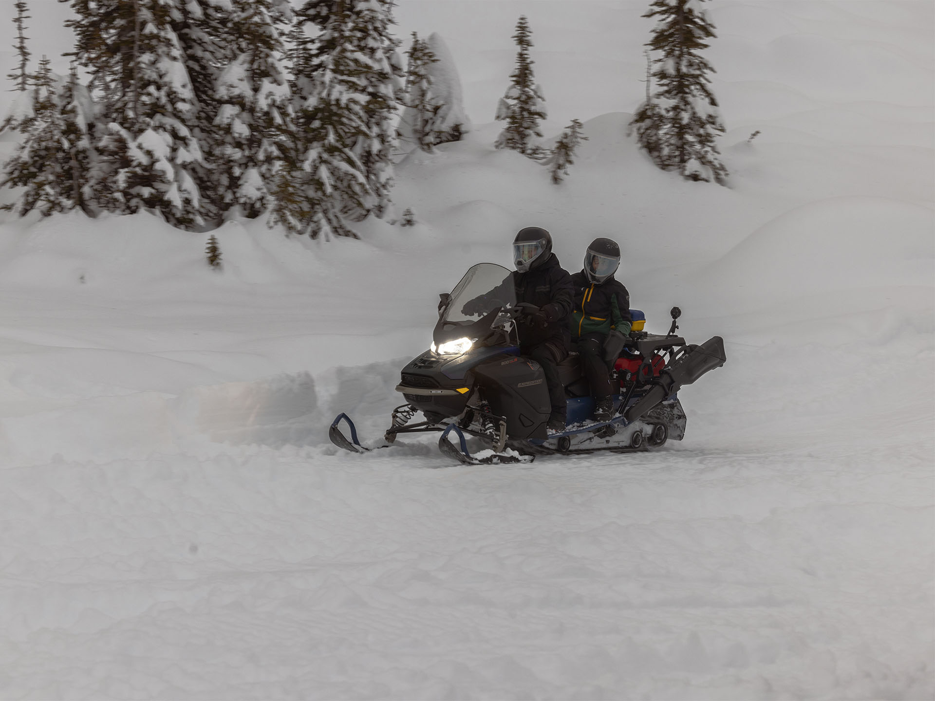 2025 Ski-Doo Expedition SE 900 ACE Turbo R ES Cobra WT 1.8 in Fairview, Utah - Photo 13