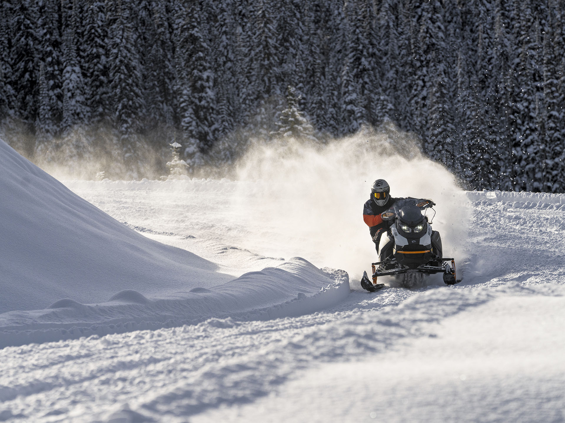 2026 Ski-Doo Backcountry Adrenaline 850 E-TEC ES Storm 1.5 in Fairview, Utah - Photo 9