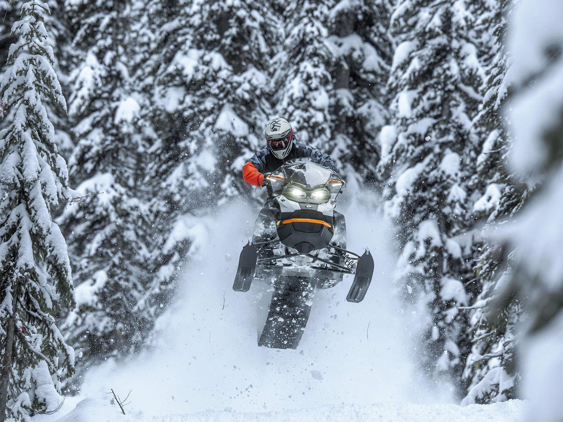 2026 Ski-Doo Backcountry Adrenaline 850 E-TEC ES Storm 1.5 in Fairview, Utah - Photo 13