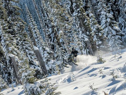 2026 Ski-Doo Backcountry X 850 E-TEC ES Ice Storm 1.5 w/ 10.25 in. Touchscreen in Fairview, Utah - Photo 15