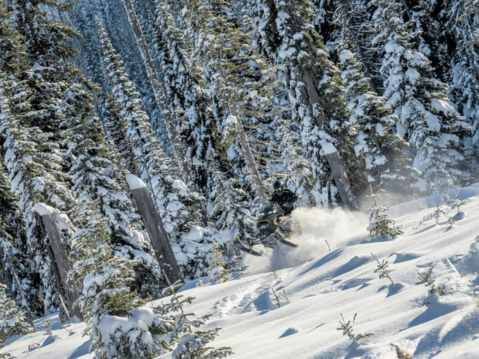 2026 Ski-Doo Backcountry X 850 E-TEC ES Storm 1.5 w/ 10.25 in. Touchscreen in Enfield, Connecticut - Photo 15