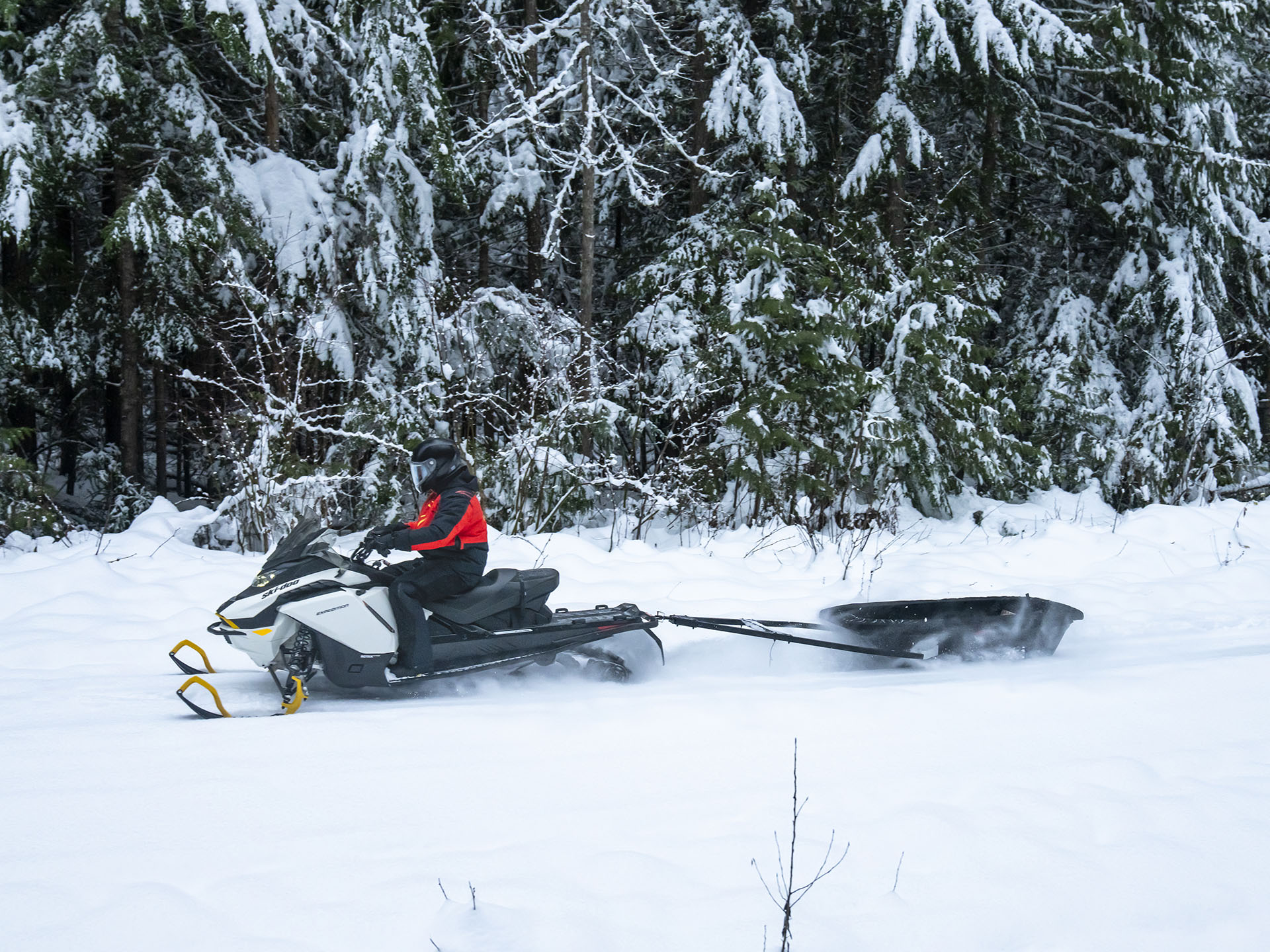 2026 Ski-Doo Expedition Electric Rotax E-Power ES Cobra 1.6 w/ 10.25 in. Touchscreen in Fairview, Utah - Photo 11
