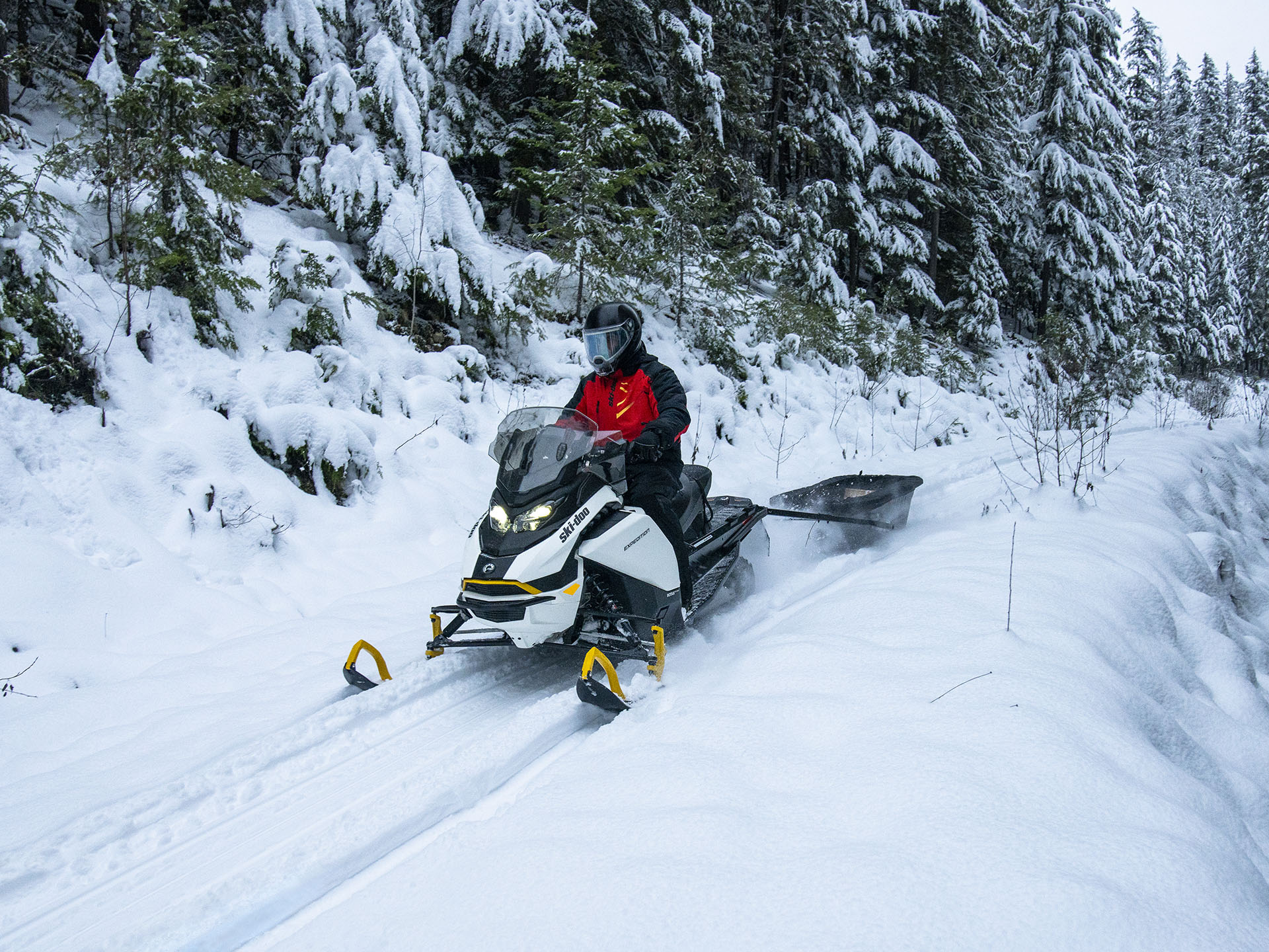 2026 Ski-Doo Expedition Electric Rotax E-Power ES Cobra 1.6 w/ 10.25 in. Touchscreen in Fairview, Utah - Photo 12