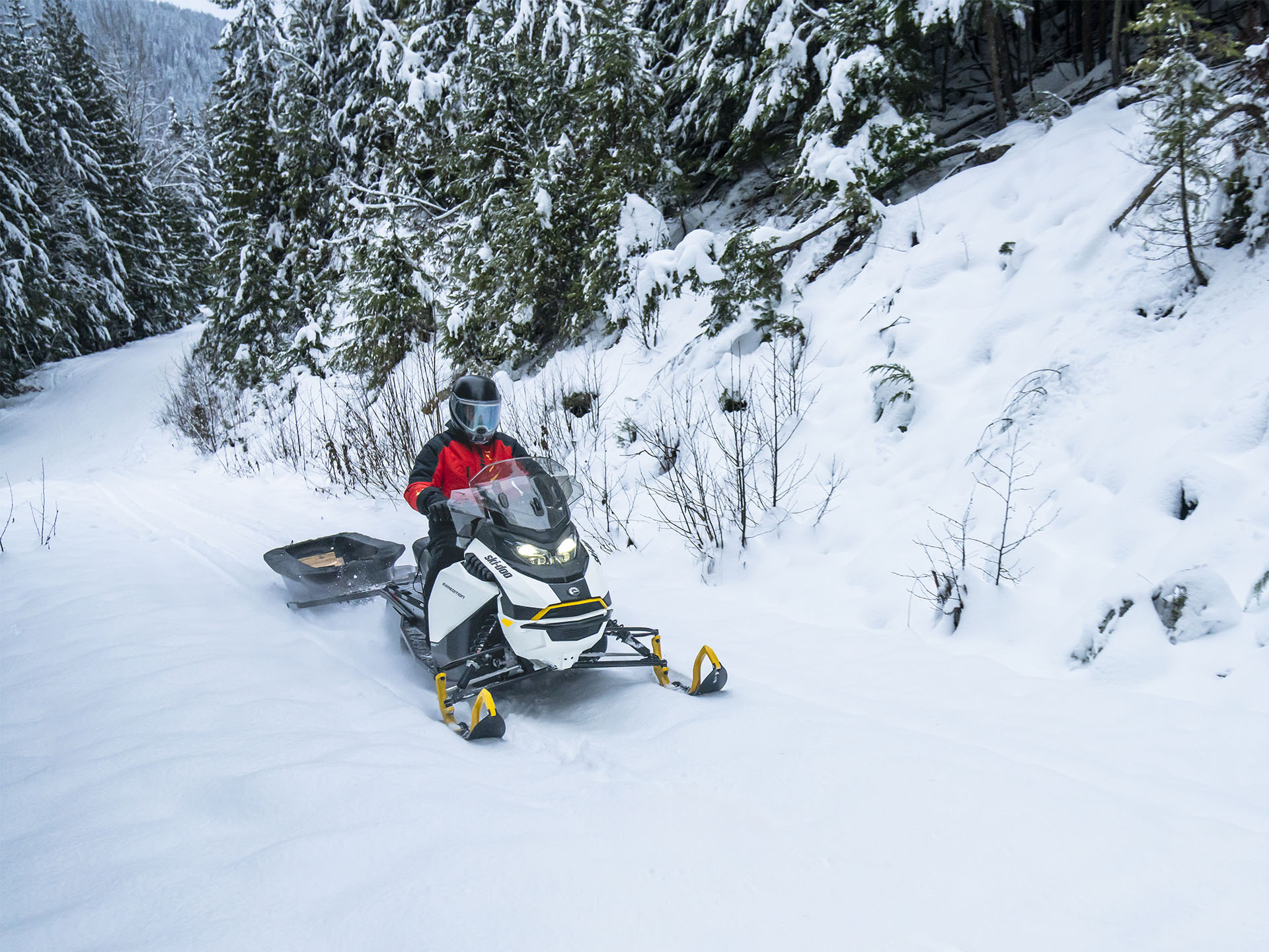 2026 Ski-Doo Expedition Electric Rotax E-Power ES Cobra 1.6 w/ 10.25 in. Touchscreen in Fairview, Utah - Photo 13
