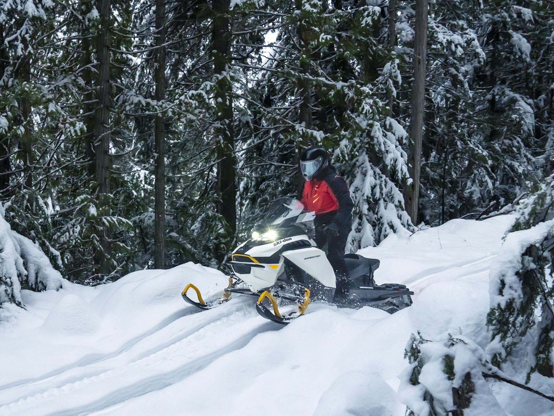 2026 Ski-Doo Expedition Electric Rotax E-Power ES Cobra 1.6 w/ 10.25 in. Touchscreen in Fairview, Utah - Photo 14