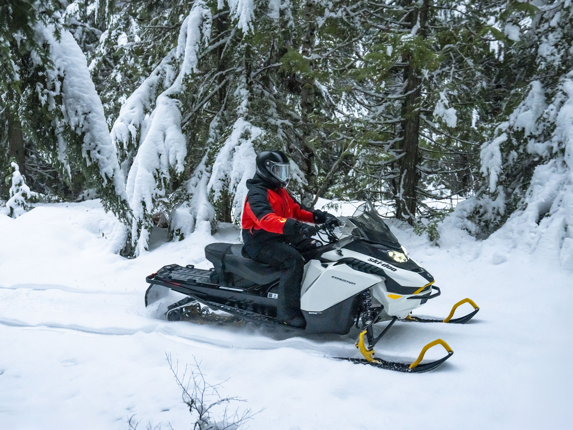 2026 Ski-Doo Expedition Electric Rotax E-Power ES Cobra 1.6 w/ 10.25 in. Touchscreen in Fairview, Utah - Photo 15