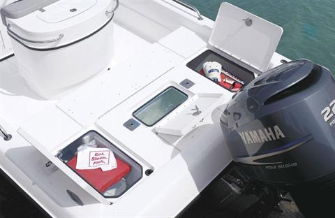 海釣り ベイトサグリ釣りでもっと楽しむ海上釣堀 | SHIMANO シマノ