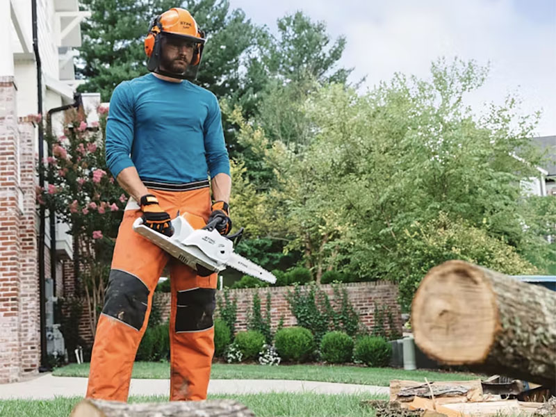 Stihl MSA 160 C-B 14 in. Bar w/ AP 500 S Battery & AL 300 Charger in Calmar, Iowa - Photo 5