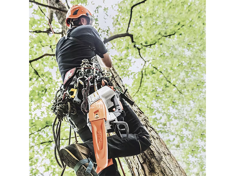 Stihl MSA 161 T 12 in. Bar w/ AP 200 Battery & AL 301 Charger in Mio, Michigan - Photo 4