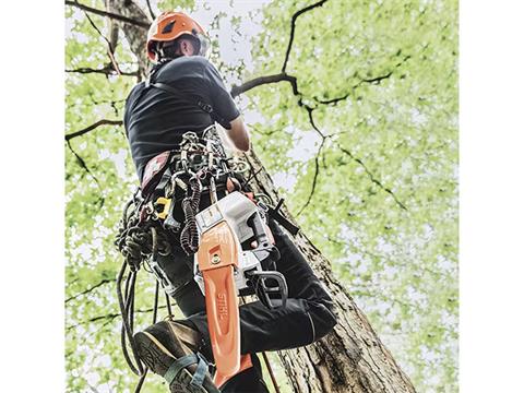 Stihl MSA 161 T 12 in. Bar w/ AP 200 Battery & AL 301 Charger in Mio, Michigan - Photo 4
