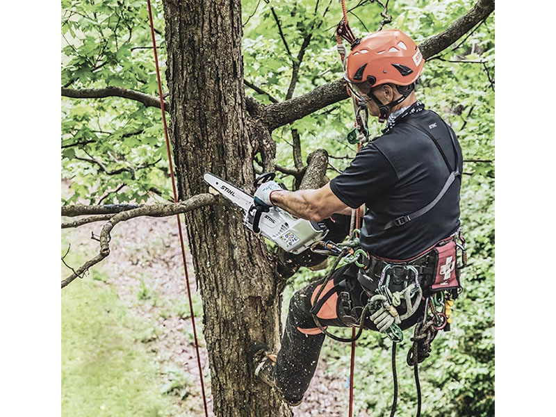Stihl MSA 161 T 12 in. Bar w/ AP 200 Battery & AL 301 Charger in Mio, Michigan - Photo 5