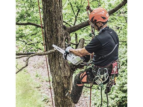 Stihl MSA 161 T 12 in. Bar w/ AP 200 Battery & AL 301 Charger in Mio, Michigan - Photo 5
