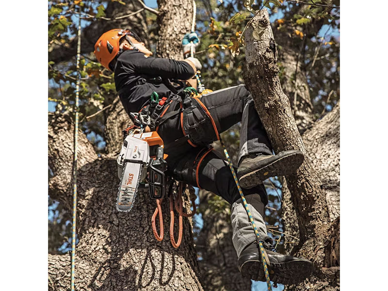 Stihl MSA 220 TC-O 12 in. Bar w/ AP 300 S Battery & AL 301 Charger in Calmar, Iowa - Photo 6