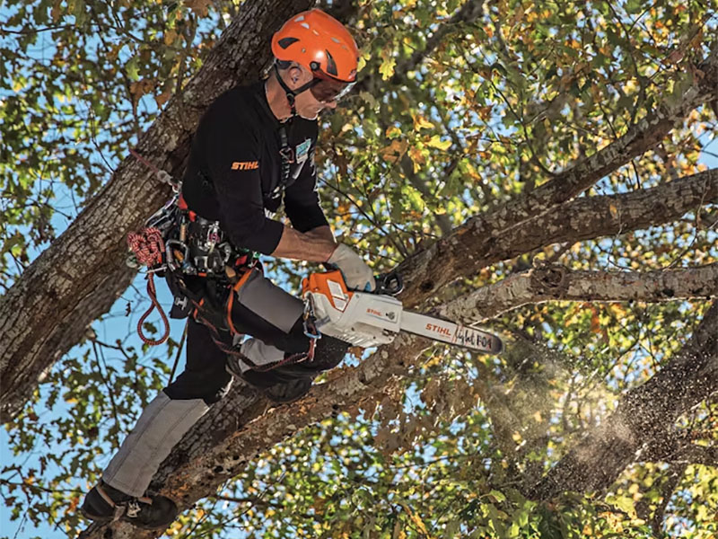 Stihl MSA 220 TC-O 16 in. Lightweight Bar w/o Battery & Charger in Calmar, Iowa - Photo 4