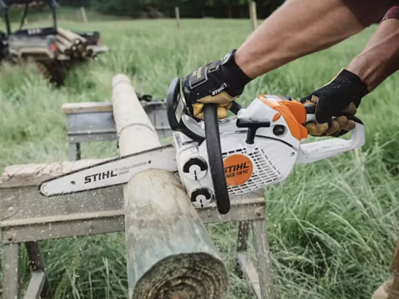 Stihl MS 151 C-E 10 in. Bar in Calmar, Iowa - Photo 3