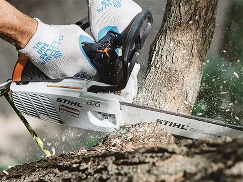 Stihl MS 151 T C-E 10 in. Bar in Calmar, Iowa - Photo 2