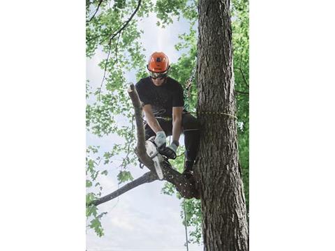 Stihl MS 151 T C-E 10 in. Bar in Calmar, Iowa - Photo 3