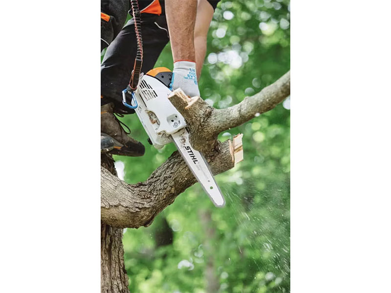 Stihl MS 151 T C-E 10 in. Bar in Calmar, Iowa - Photo 4