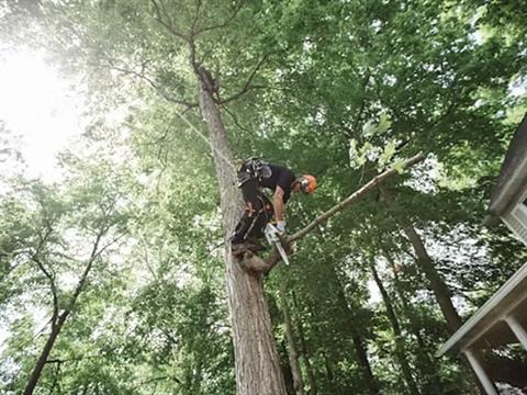 Stihl MS 151 T C-E 10 in. Bar in Calmar, Iowa - Photo 5