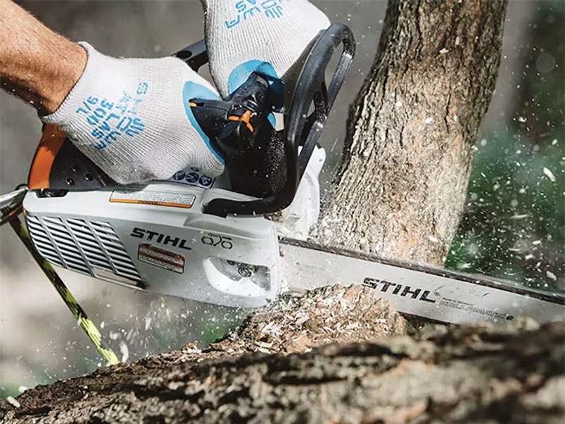 Stihl MS 151 T C-E 12 in. Bar in Saint Maries, Idaho - Photo 2