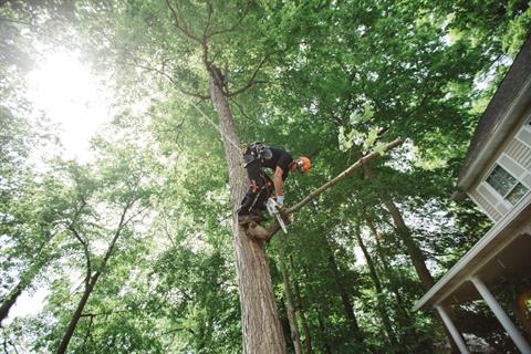 Stihl MS 151 T C-E 10 in. Bar (71 PM3 56) in Stratford, Wisconsin - Photo 2