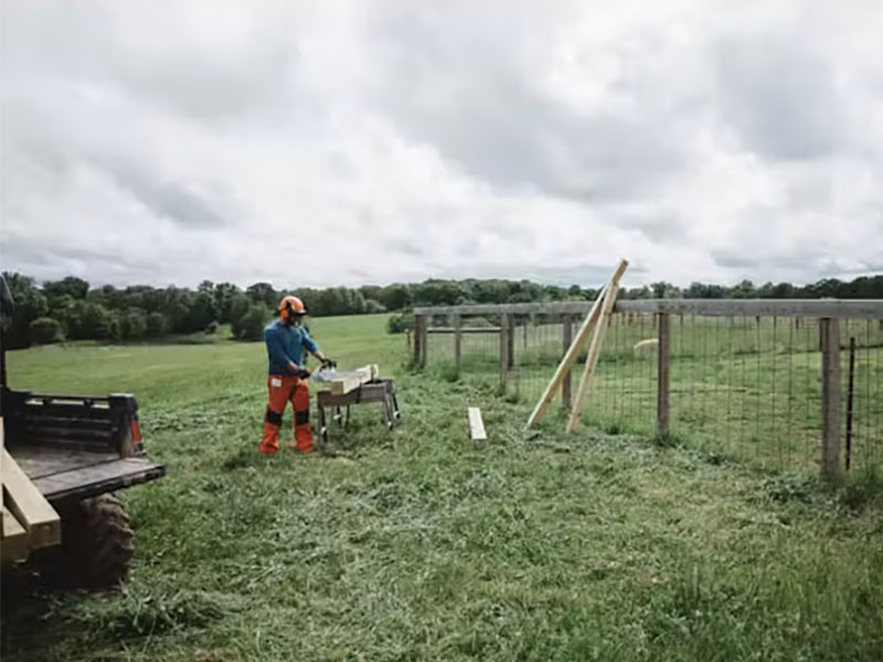 Stihl MS 194 C-E 12 in. Bar 63 PS3 in Calmar, Iowa - Photo 4