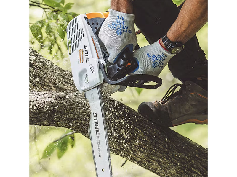Stihl MS 194 T 16 in. Bar 61 PMM3 in Calmar, Iowa - Photo 3