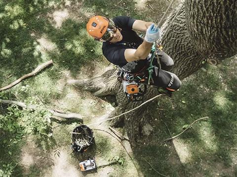 Stihl MS 194 T 16 in. Bar 61 PMM3 in Calmar, Iowa - Photo 4
